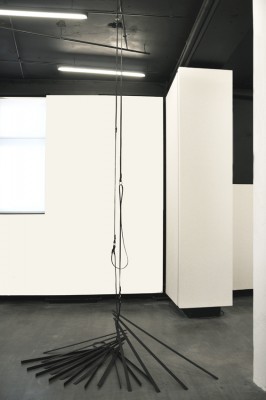 Rocky Spine&amp;nbsp; 2010 Installation view Minor Frequencies, Parrotta Contemporary Art